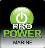 Pro Power logo